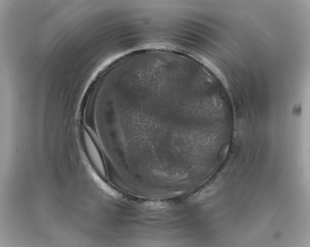 X0000091451037200709061730