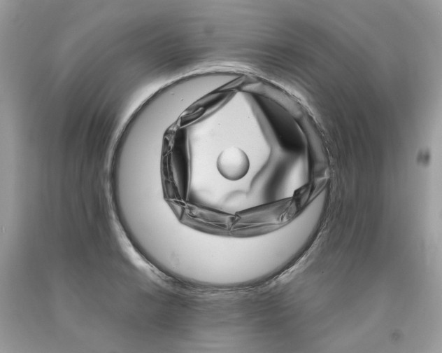 X0000091451038200709061730