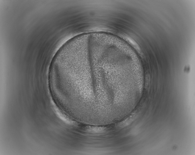 X0000091451039200709061730