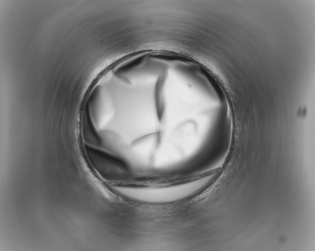 X0000091451040200709061730