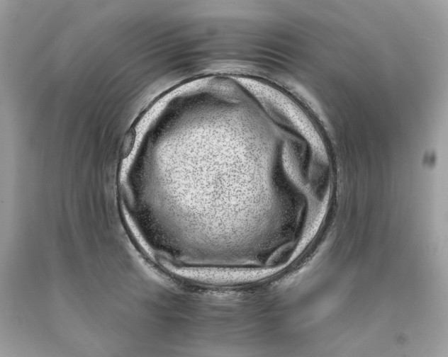 X0000091451041200709061730