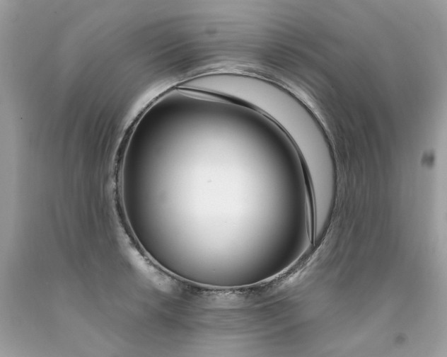 X0000091451042200709061730