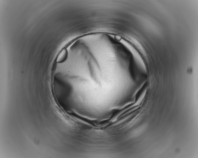 X0000091451043200709061730