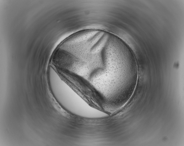 X0000091451044200709061730