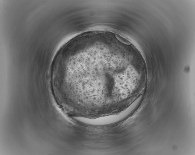 X0000091451045200709061730