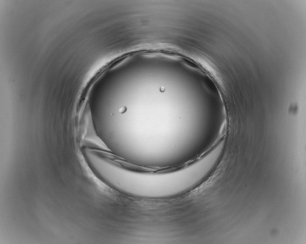 X0000091451046200709061730