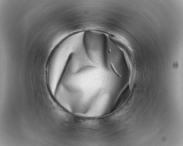 X0000091451047200709061730