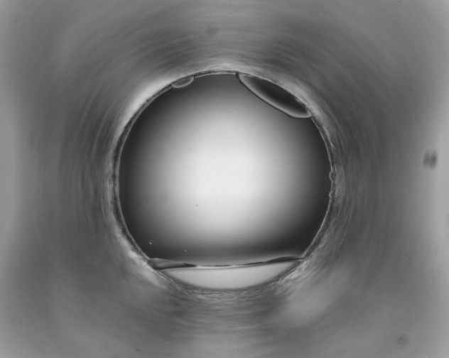 X0000091451048200709061730