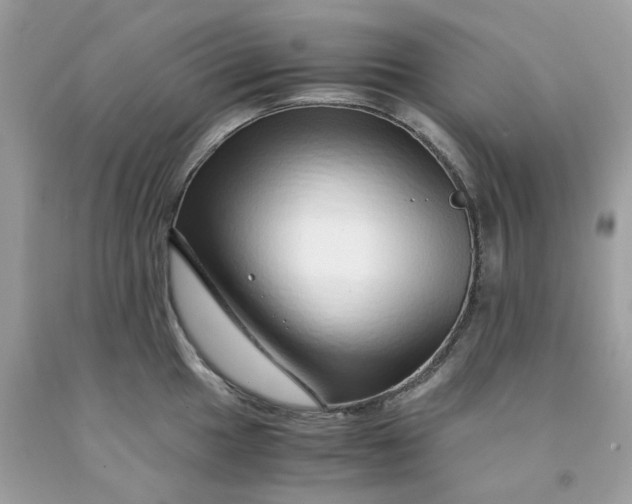 X0000091451049200709061730