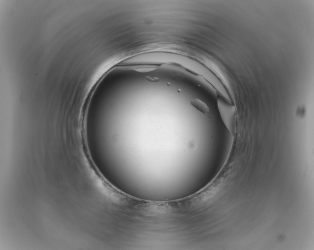 X0000091451050200709061730