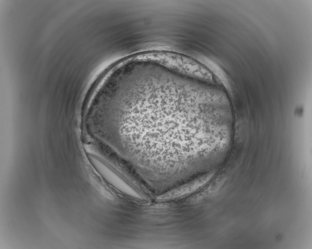 X0000091451051200709061730