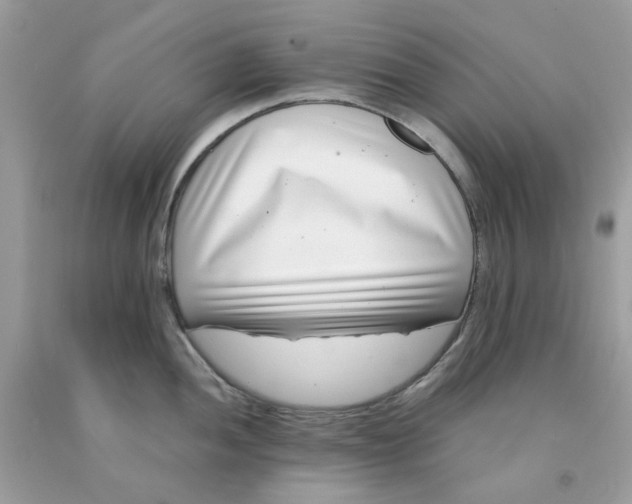 X0000091451052200709061730