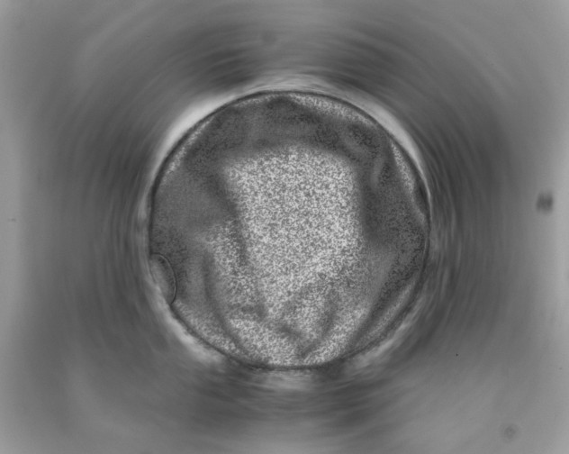 X0000091451053200709061730