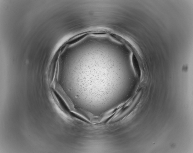 X0000091451054200709061730