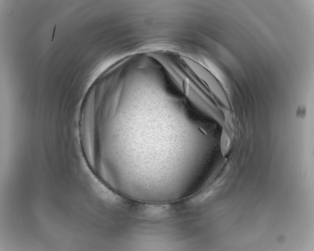 X0000091451055200709061731