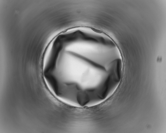 X0000091451056200709061731