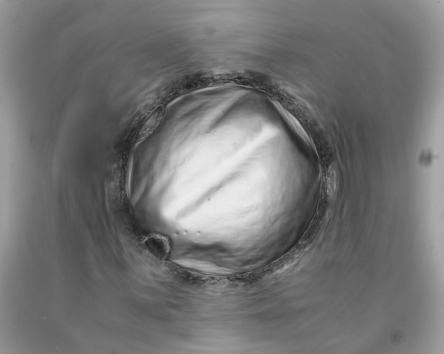 X0000091451059200709061730