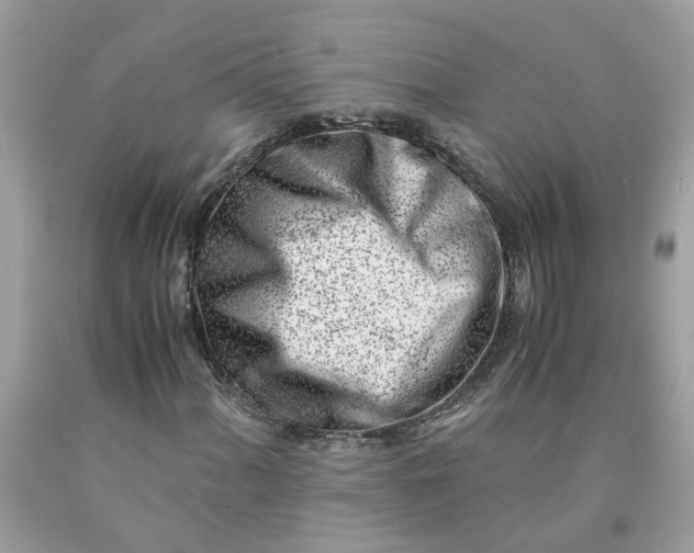 X0000091451060200709061730