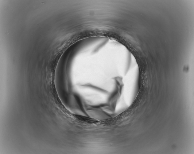 X0000091451061200709061730