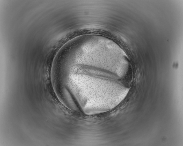 X0000091451062200709061730