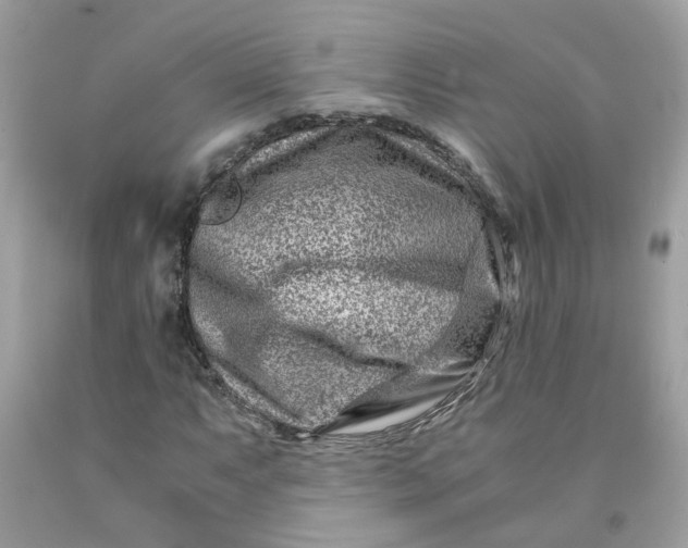 X0000091451063200709061730