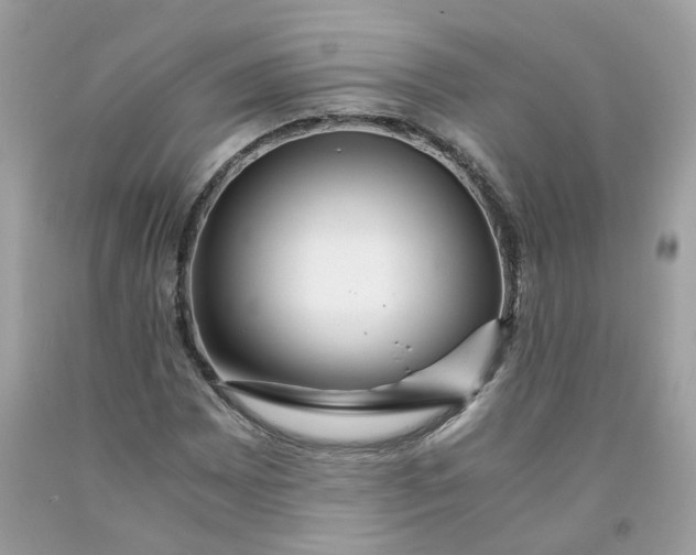 X0000091451065200709061730