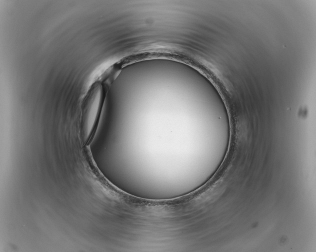 X0000091451066200709061730