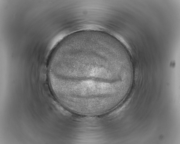 X0000091451067200709061730