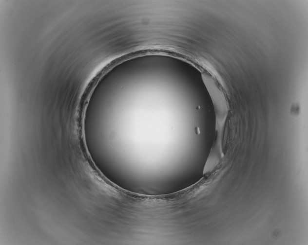 X0000091451068200709061730