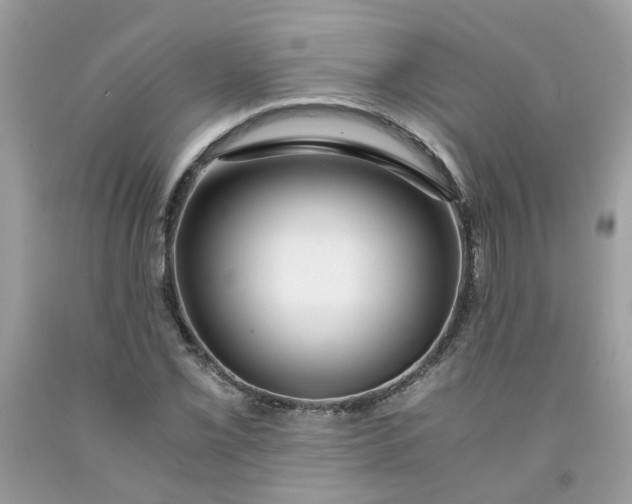 X0000091451069200709061730