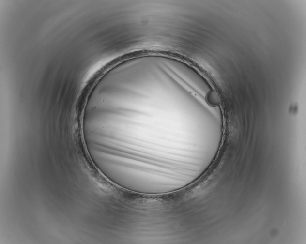 X0000091451070200709061730