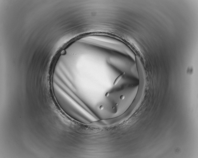 X0000091451072200709061730