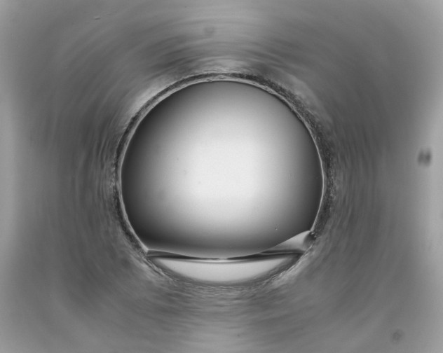 X0000091451073200709061730