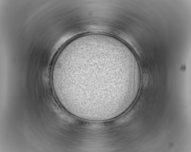 X0000091451074200709061730