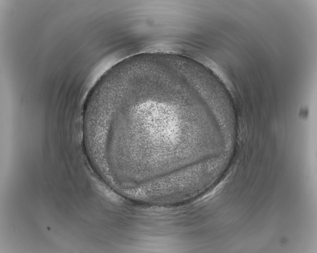 X0000091451075200709061730