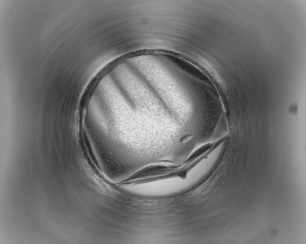 X0000091451076200709061730