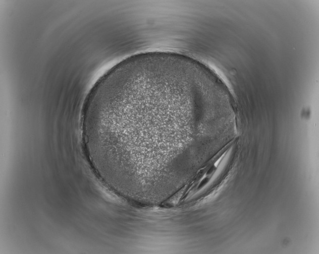 X0000091451077200709061730