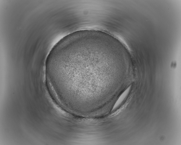 X0000091451079200709061730