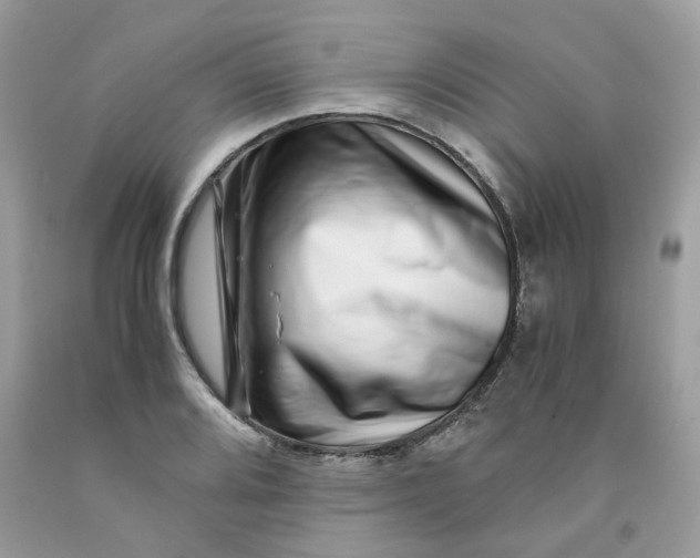 X0000091451080200709061730