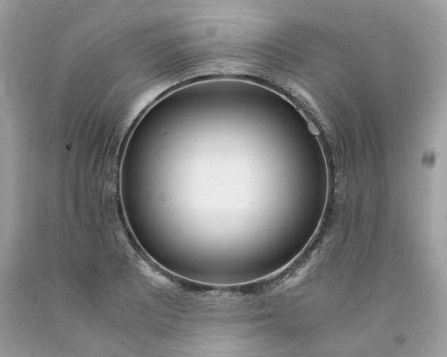 X0000091451081200709061730