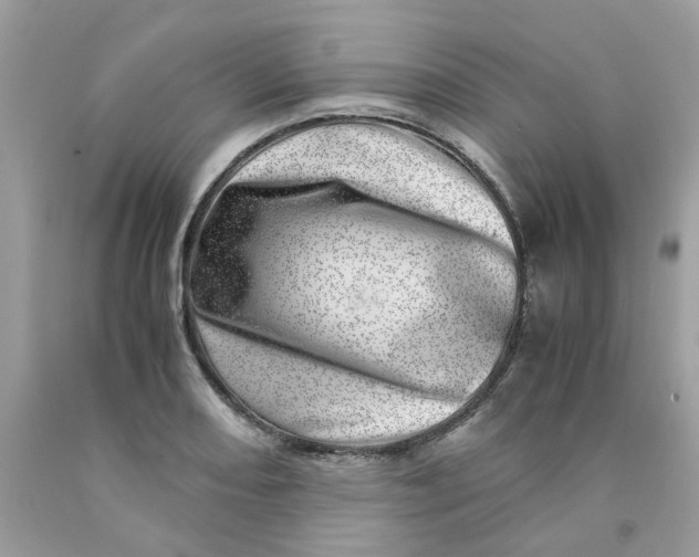 X0000091451082200709061730