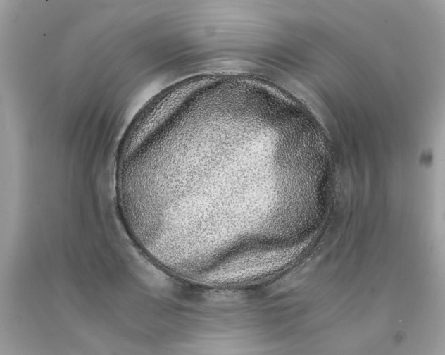 X0000091451083200709061730