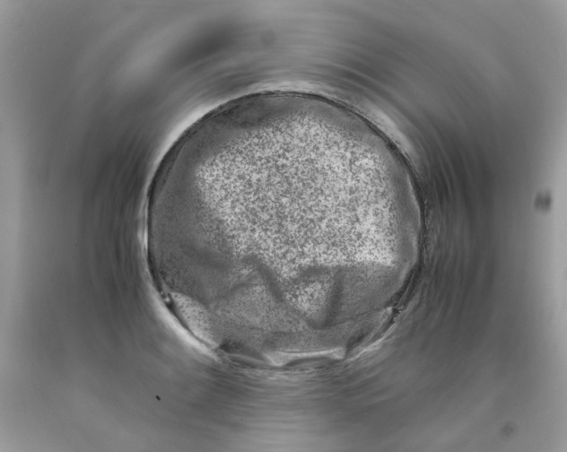 X0000091451084200709061730