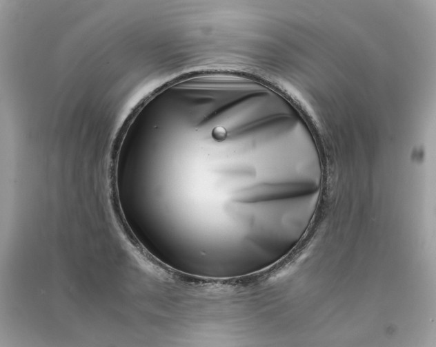 X0000091451085200709061730