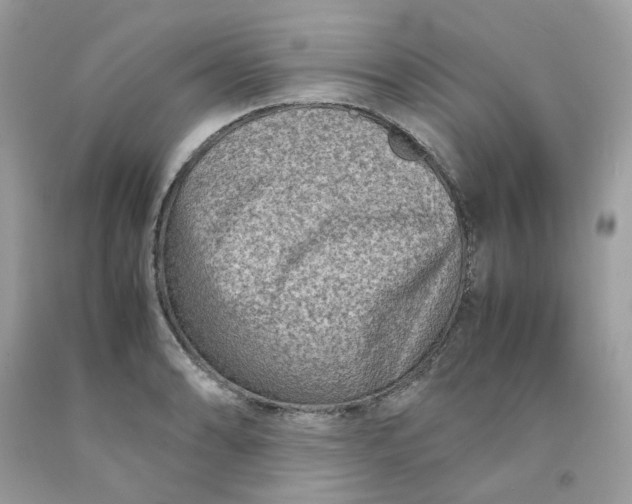 X0000091451086200709061730