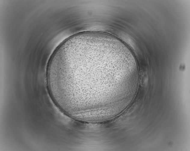 X0000091451087200709061730