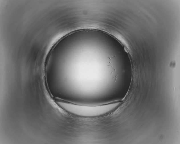 X0000091451088200709061730