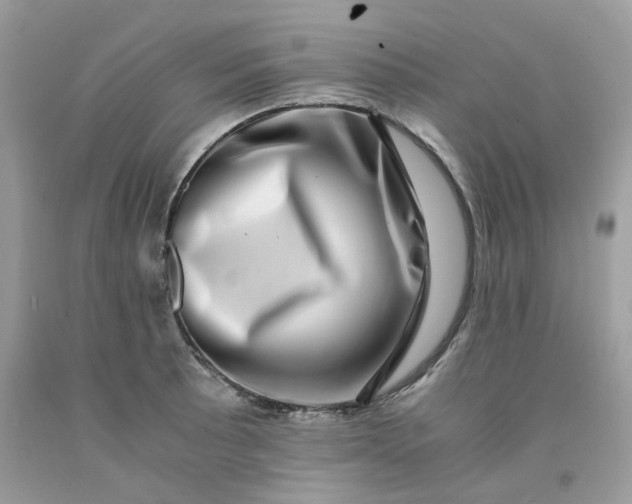 X0000091451089200709061730