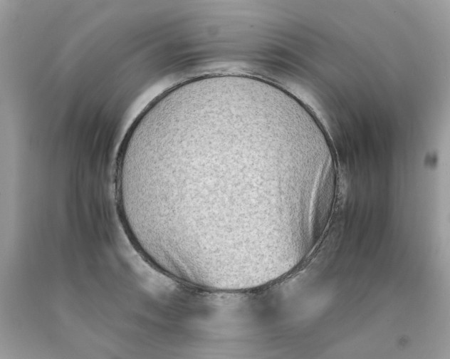 X0000091451090200709061730