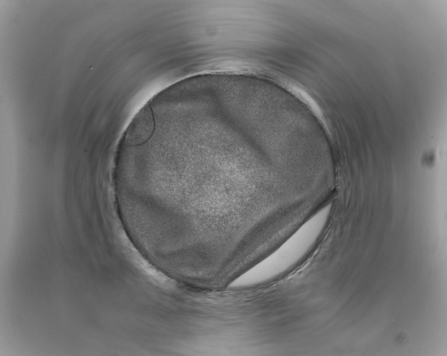 X0000091451091200709061730